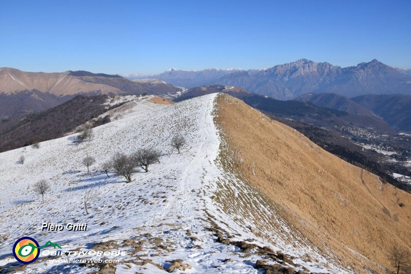 12 - Le Grigne oltre la cresta.jpg